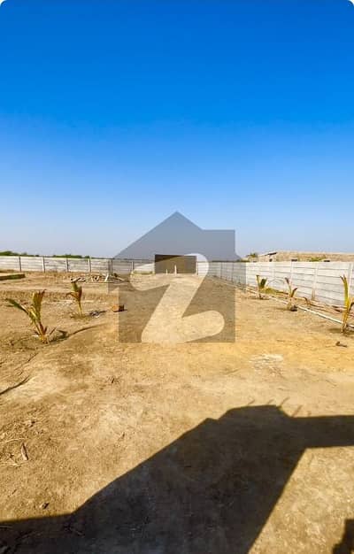 7 Acars Land Available For urgently Sale at National highway Gharo Babra Raod Sindh 7 Acars Land Available For urgently Sale at National highway Gharo Babra Raod Sindh