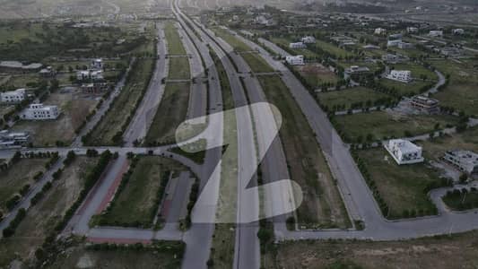 ڈی