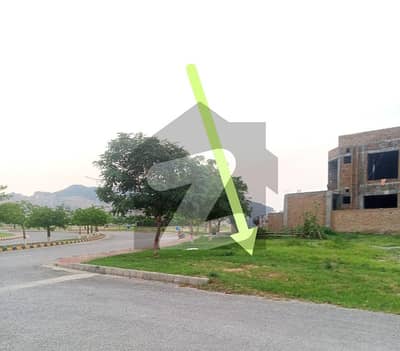 گلستان