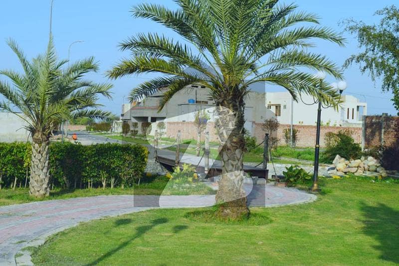 Plot For Sale Plot For Sale