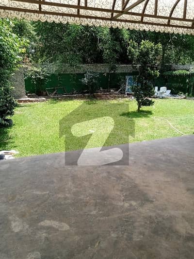 14 Marla Lower Ground Portion For Rent In G-10