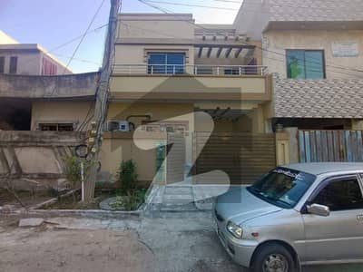 چنار