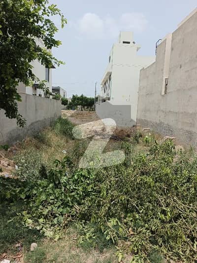 واپڈا