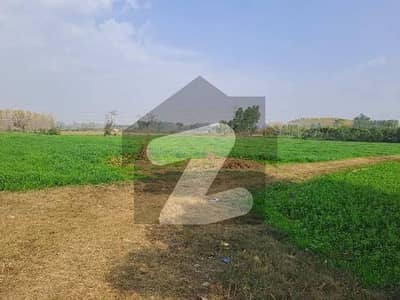 48 Kanal Agricultural Land for sale in Eminabad More