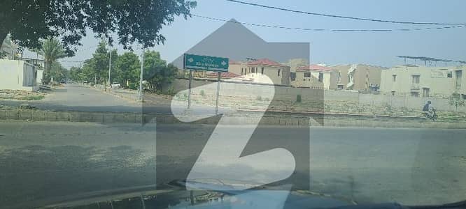 ڈی