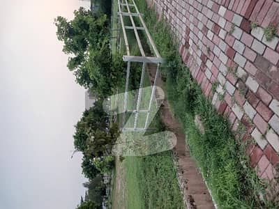 بحریہ
