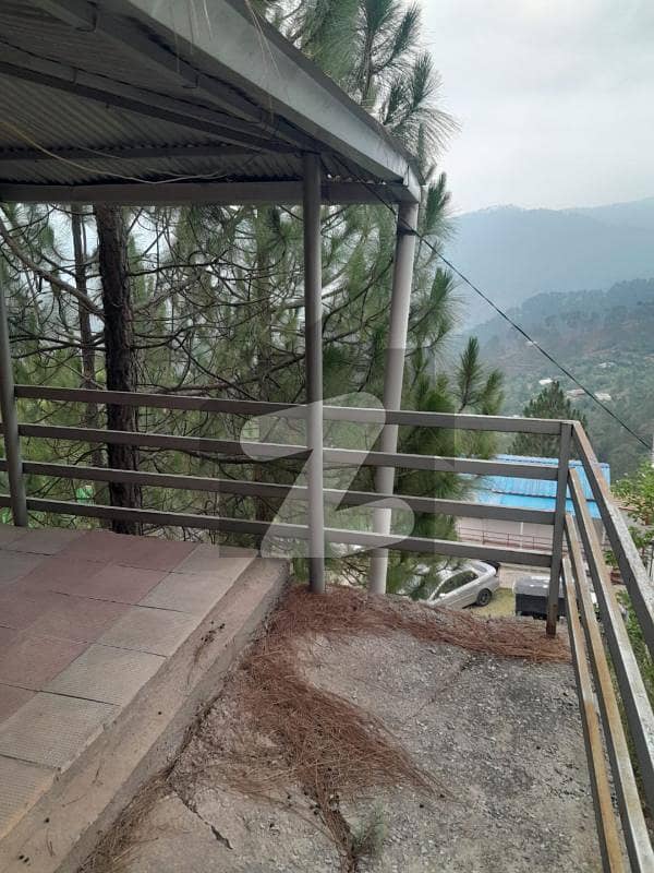 House Of 16 Marla Is Available For sale House Of 16 Marla Is Available For sale