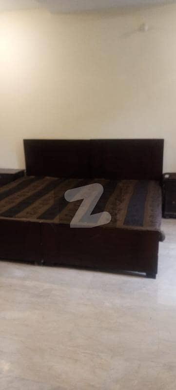 Ideal Apartment For Residence Bachelors Ideal Apartment For Residence Bachelors