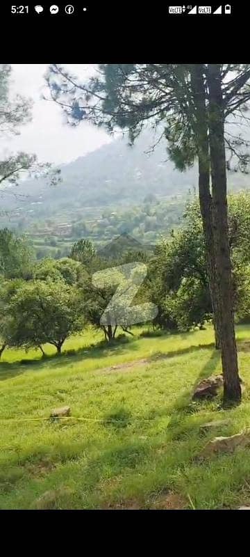 مری ایکسپریس وے مری میں 105 کنال زرعی زمین 30.0 کروڑ میں برائے فروخت۔ مری ایکسپریس وے مری میں 105 کنال زرعی زمین 30.0 کروڑ میں برائے فروخت۔