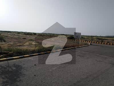 ڈی