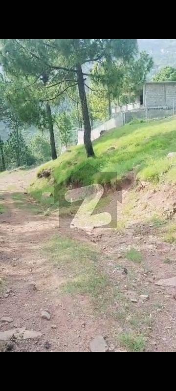 مری ایکسپریس وے مری میں 105 کنال زرعی زمین 30.0 کروڑ میں برائے فروخت۔ مری ایکسپریس وے مری میں 105 کنال زرعی زمین 30.0 کروڑ میں برائے فروخت۔