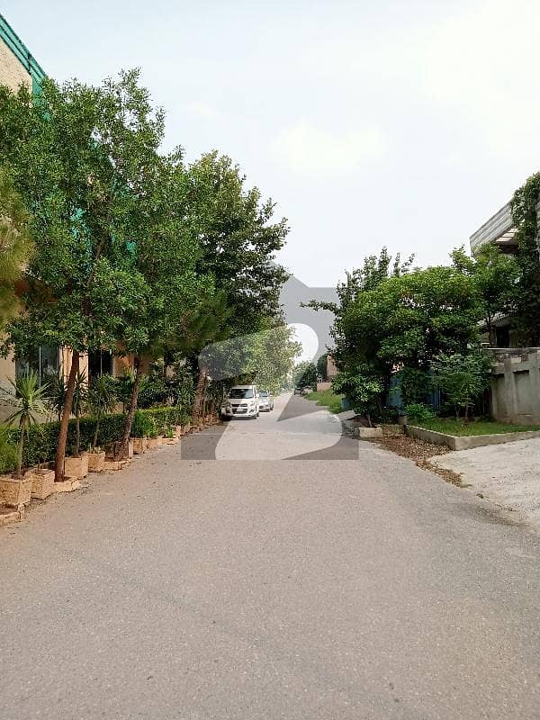 Portion For Rent Available in Pakistan Town