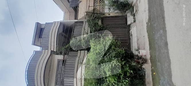 حیات