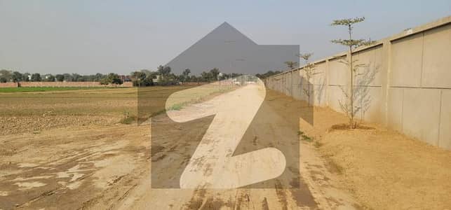 برکی