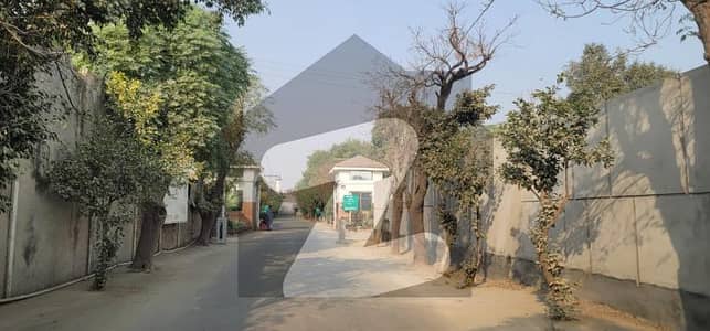 بیدیاں