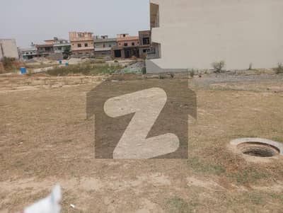 جناح