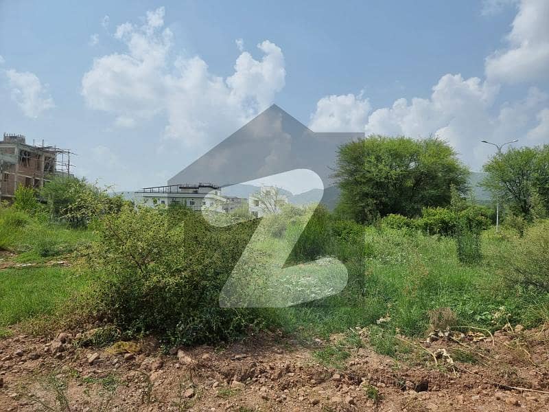 Plot For Sale (40x80) Plot For Sale (40x80)