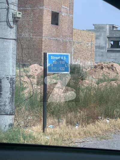 پروفیسر