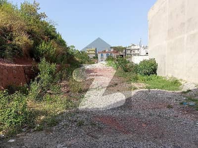 بنی