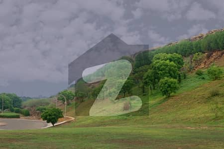 120