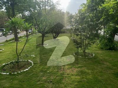 ڈی