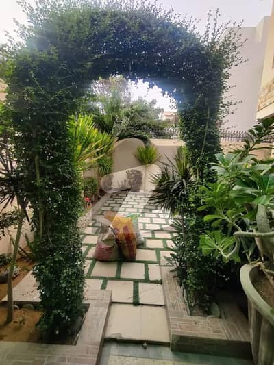 ڈی