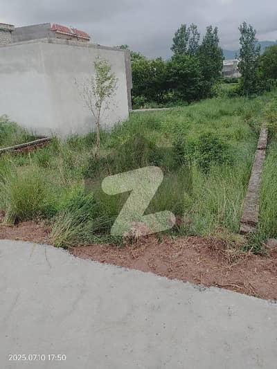 Plot