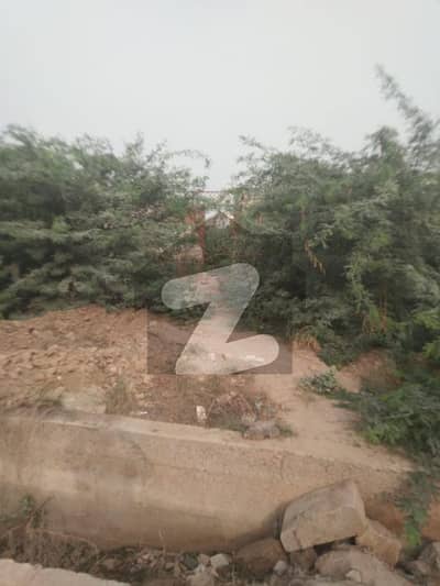 Open Plot for Rent opposite sector w