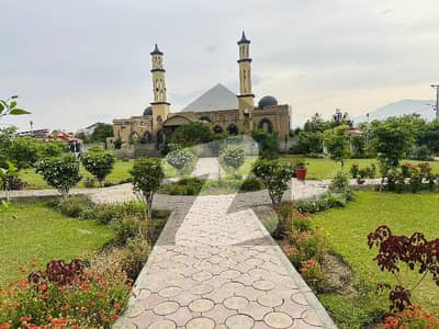 ریگی