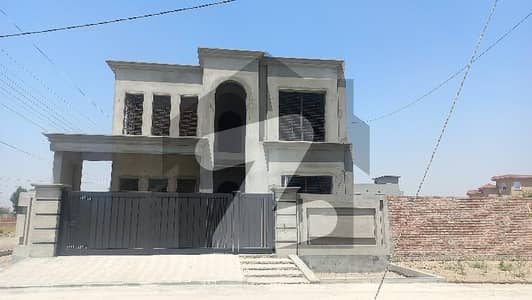 چنار