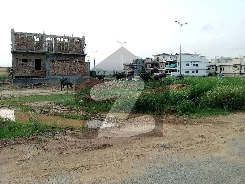 G14/3 Kanal (50*90) Plot FoR Sale G14/3 Kanal (50*90) Plot FoR Sale
