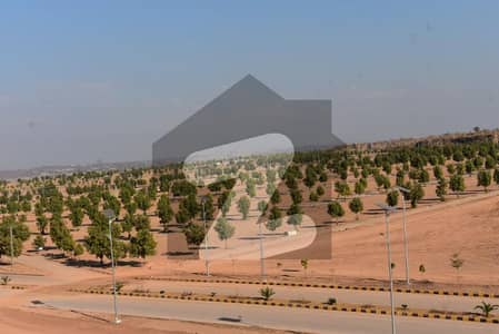 DHA