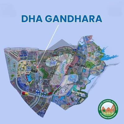 ڈی