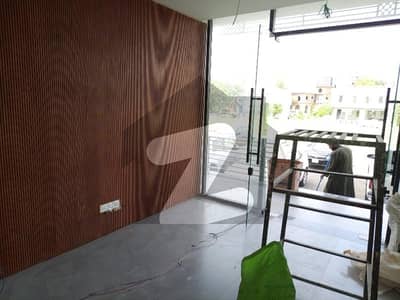 Brand New Ground Floor