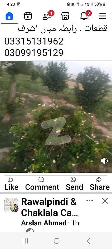 ایم