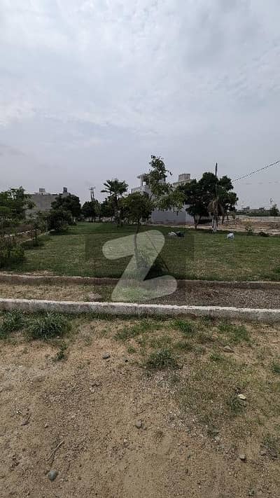 پیر