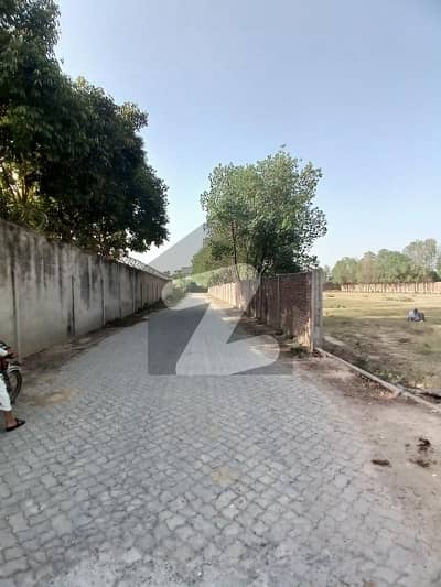 صوفیہ