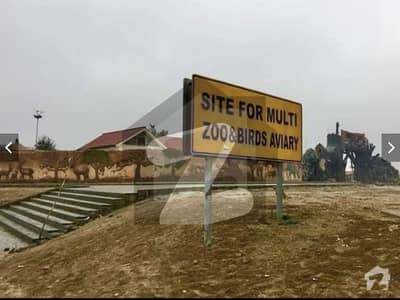 ایم