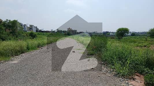 راول