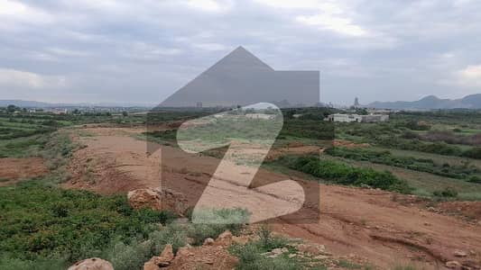 سی