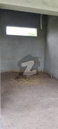 20 