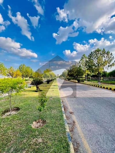 واپڈا