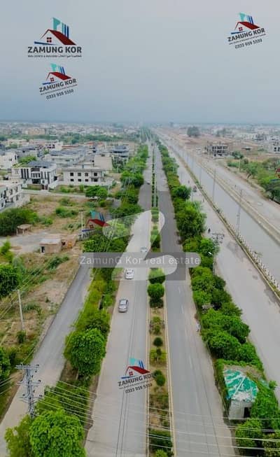 ریگی
