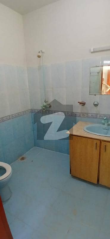 20 