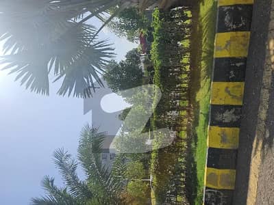 Gulberg