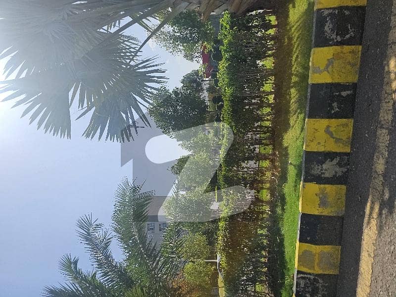 Gulberg Greens block B Farm Gulberg Greens block B Farm