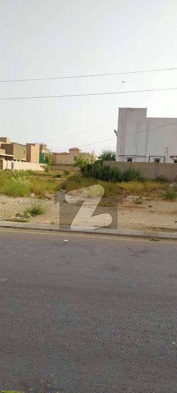 ڈی