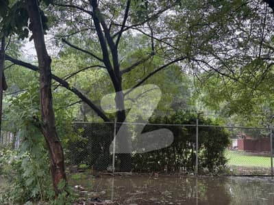 کینٹ