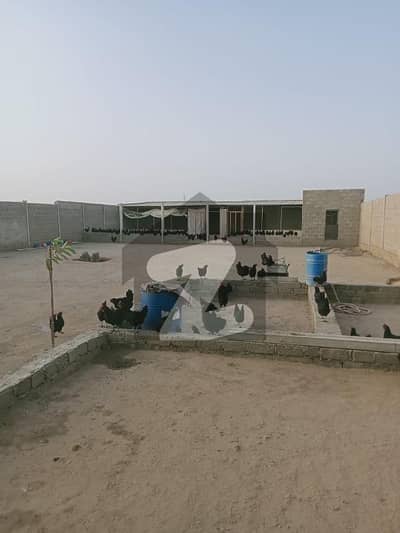 گداپ ٹاؤن کراچی میں 2 کنال زرعی زمین 35.0 لاکھ میں برائے فروخت۔