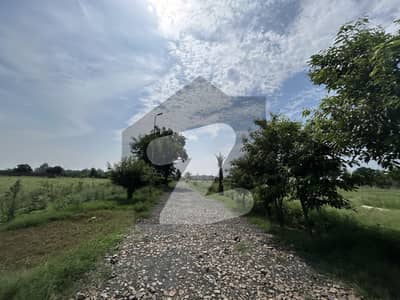 3 Kanal Plot for Sale on Hot Location Bedian Road, Lahore 3 Kanal Plot for Sale on Hot Location Bedian Road, Lahore